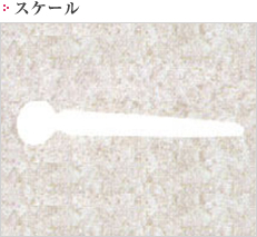 スケール