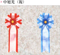 中旭光(複)